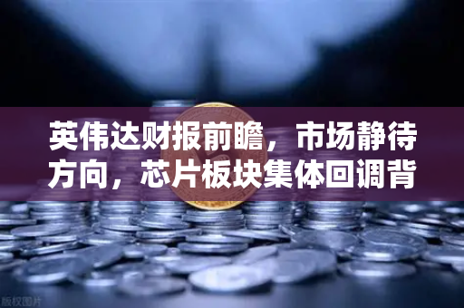 英伟达财报前瞻，市场静待方向，芯片板块集体回调背后的真相-第1张图片-欧易交易所